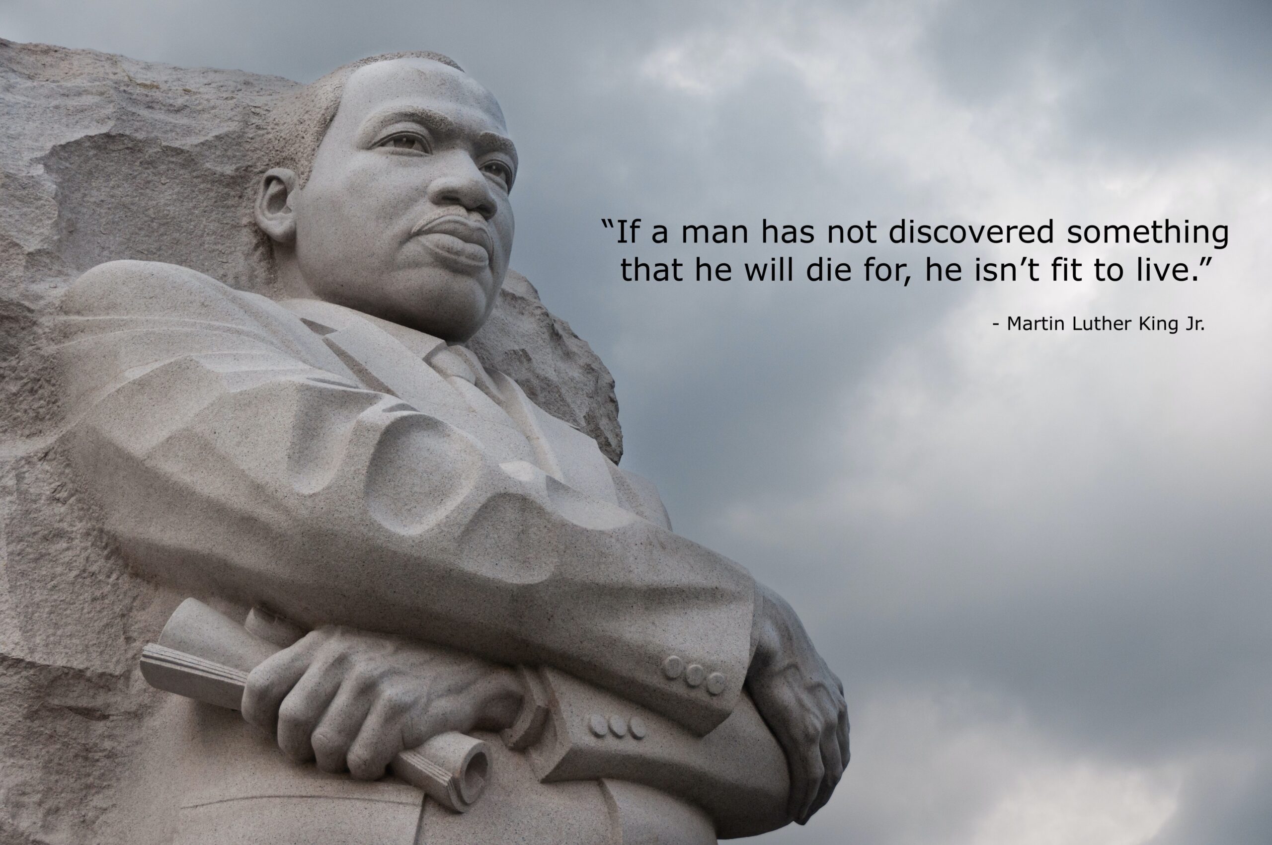 Martin Luther King Quotes On Leadership - Janean Joelle